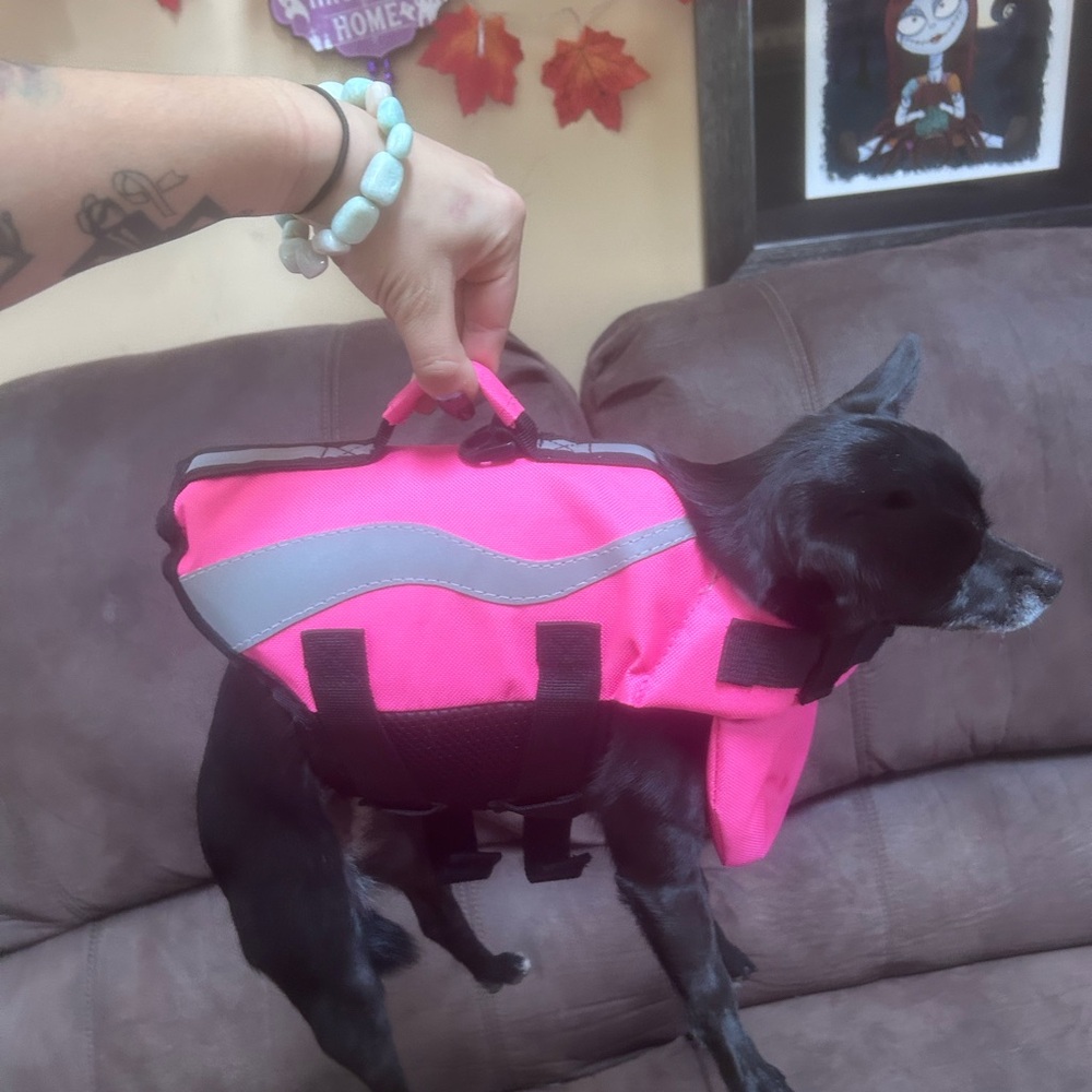 Emu Pink and Black Dog Life Jacket